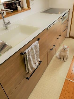 日本総合ホームセンター 株 滋賀店のお店詳細 Toto